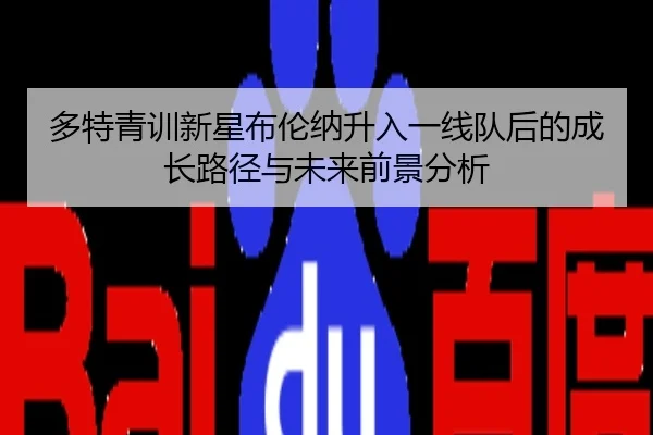 多特青训新星布伦纳升入一线队后的成长路径与未来前景分析